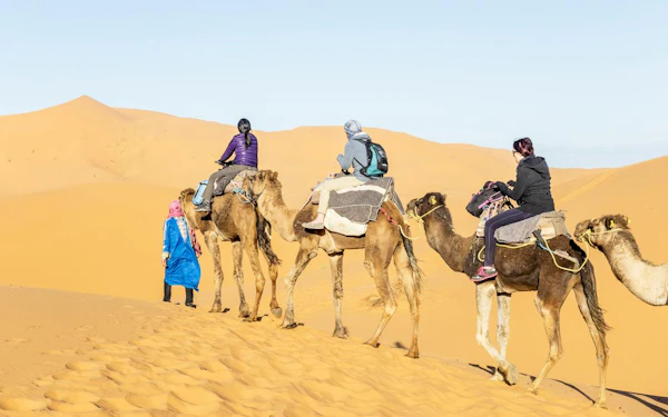 From Ouarzazate: Draa Valley and Tinfou Dunes Trip with Camel Ride