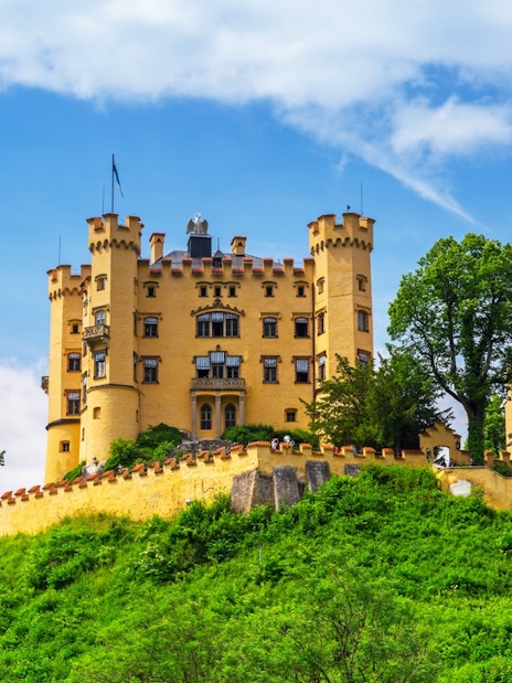 Hohenschwangau Castle surrounded by lush greenery under a blue sky.