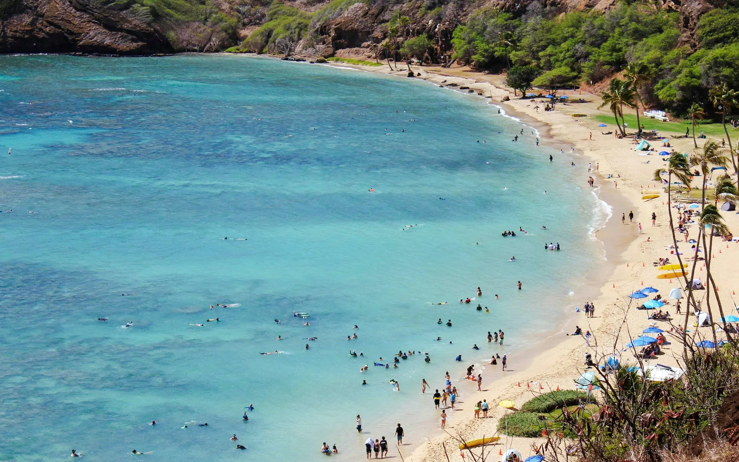 Visitors swimming and relaxing on the beach at Hanauma Bay Nature Preserve, Oahu.