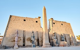 Guidad tur till templen Ramses II och Nefertari