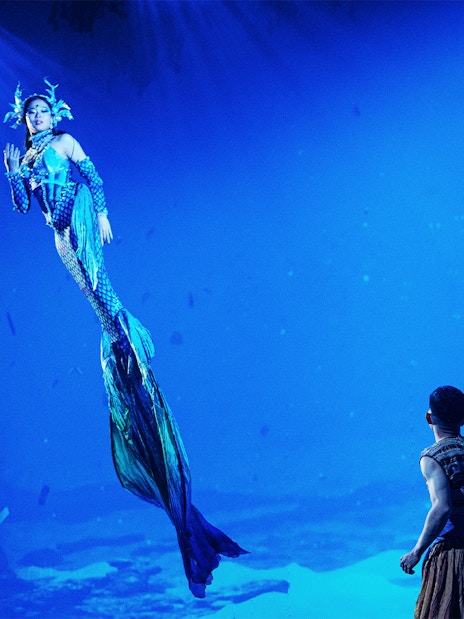 Mermaid performer in Varuna Underwater Theatrical Dining Experience.