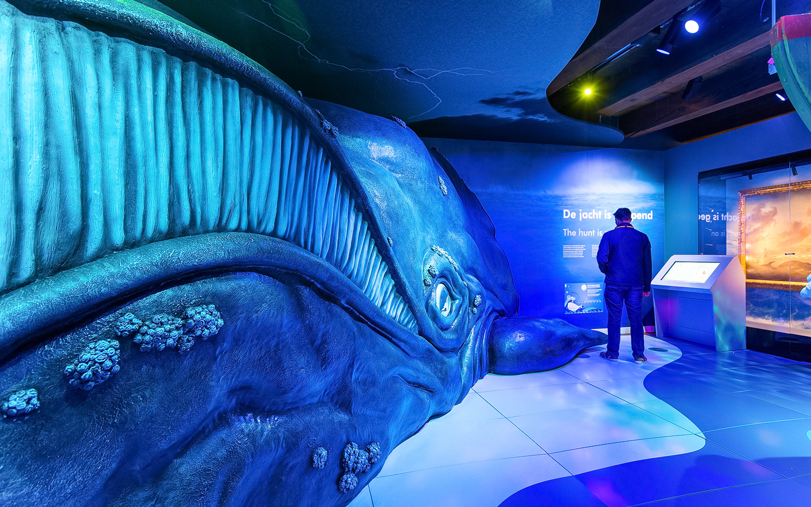 The Tale of the Whale exhibit at The National Maritime Museum featuring a large whale skeleton display.