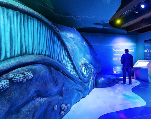 The Tale of the Whale exhibit at The National Maritime Museum featuring a large whale skeleton display.