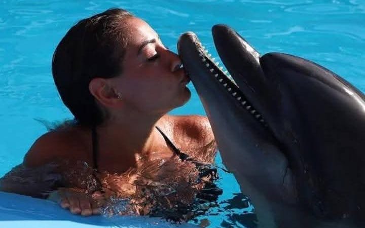 experiență premium de înot cu delfinii, de 5 minute - hurghada-4
