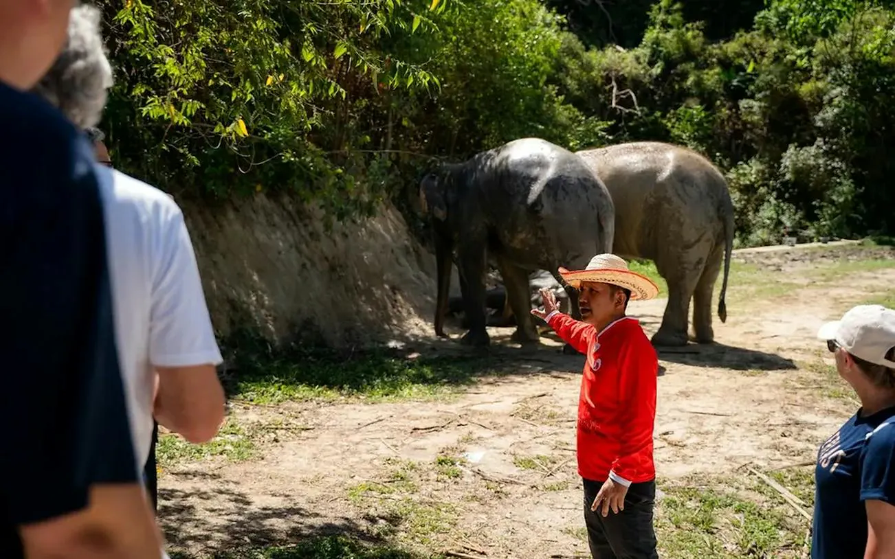 Guide explaining ethical elephant experience to tourists in Phuket.