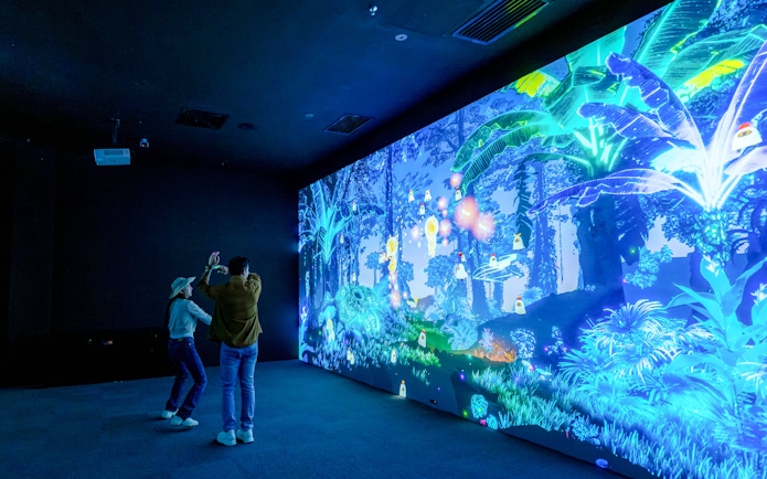 Interactive digital forest display at Enchanted Forest with two people engaging.