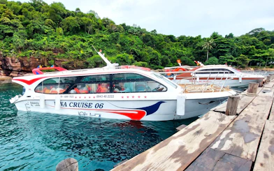 Speedboat docked at a wooden pier with lush green forest in the background.