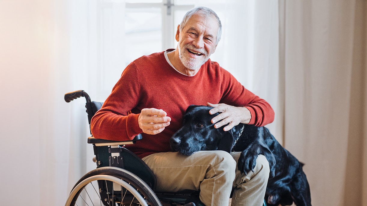 Man in wheelchair with a black dog, highlighting accessibility.