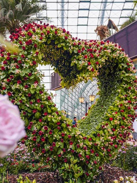 Heart-shaped floral arch inside Flower Dome, Singapore.