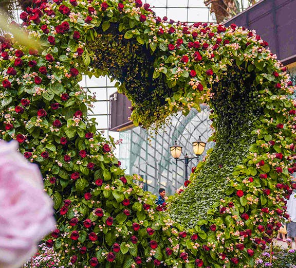 Heart-shaped floral arch inside Flower Dome, Singapore.