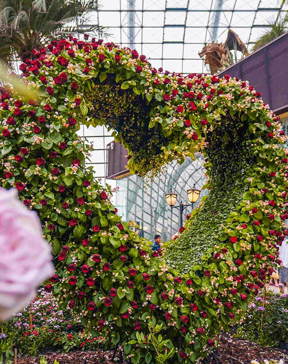 Heart-shaped floral arch inside Flower Dome, Singapore.