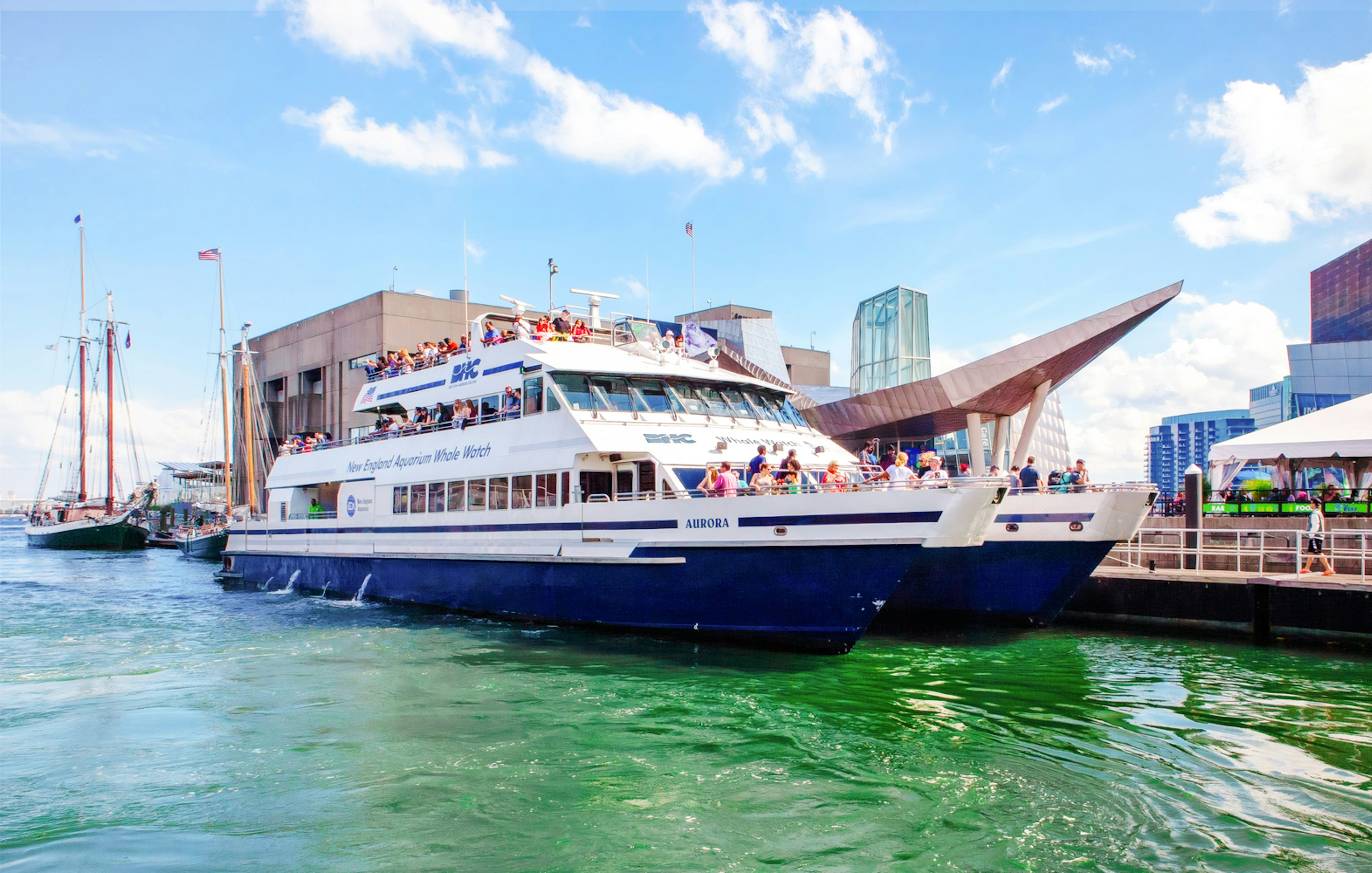 Catamaran docked at New England Aquarium for whale watching cruise.