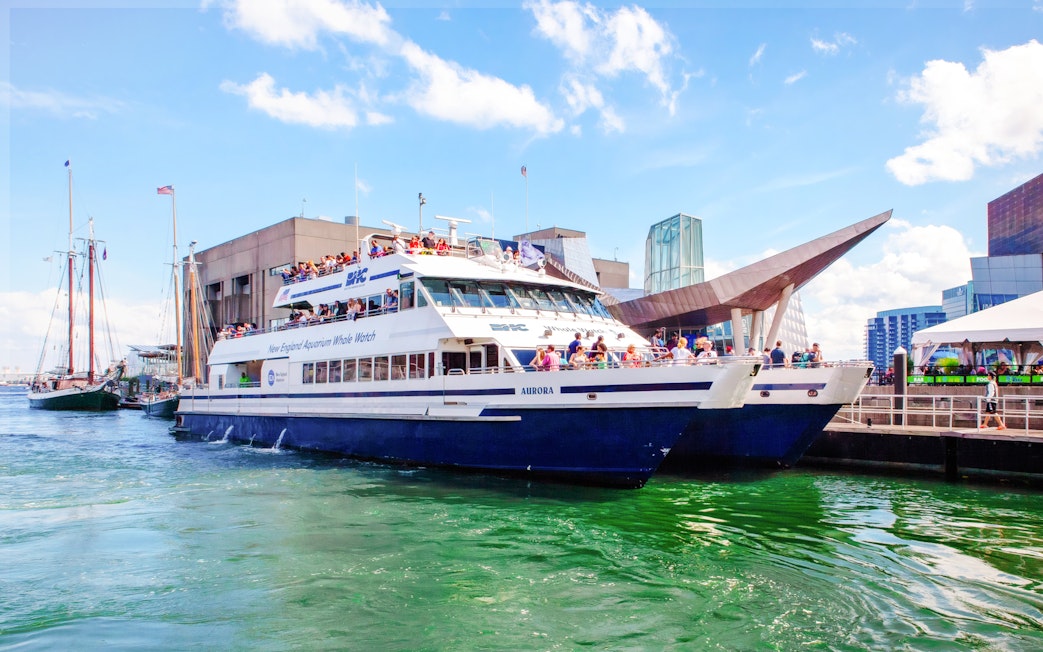 Catamaran docked at New England Aquarium for whale watching cruise.
