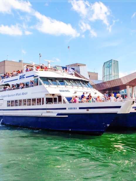 Catamaran docked at New England Aquarium for whale watching cruise.