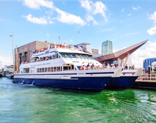 Catamaran on England Aquarium Whale Watching Cruise with passengers observing marine life.