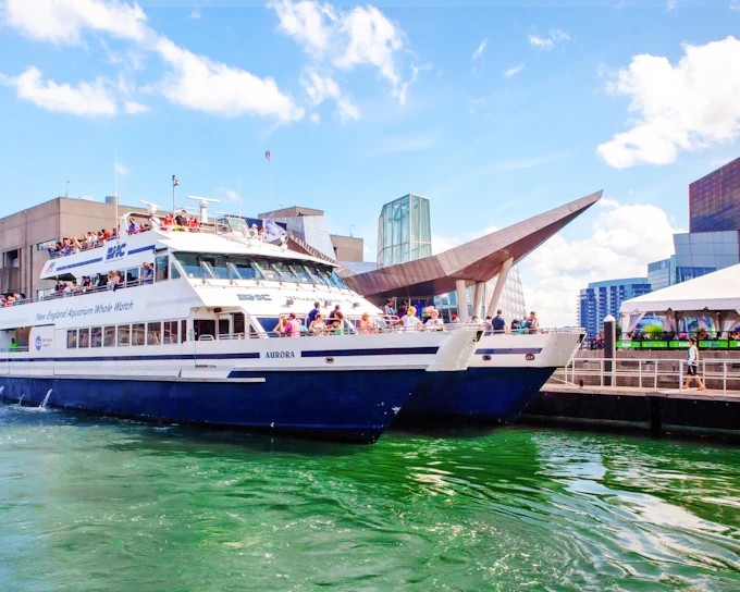 Boston Whale Watching Cruise by New England Aquarium