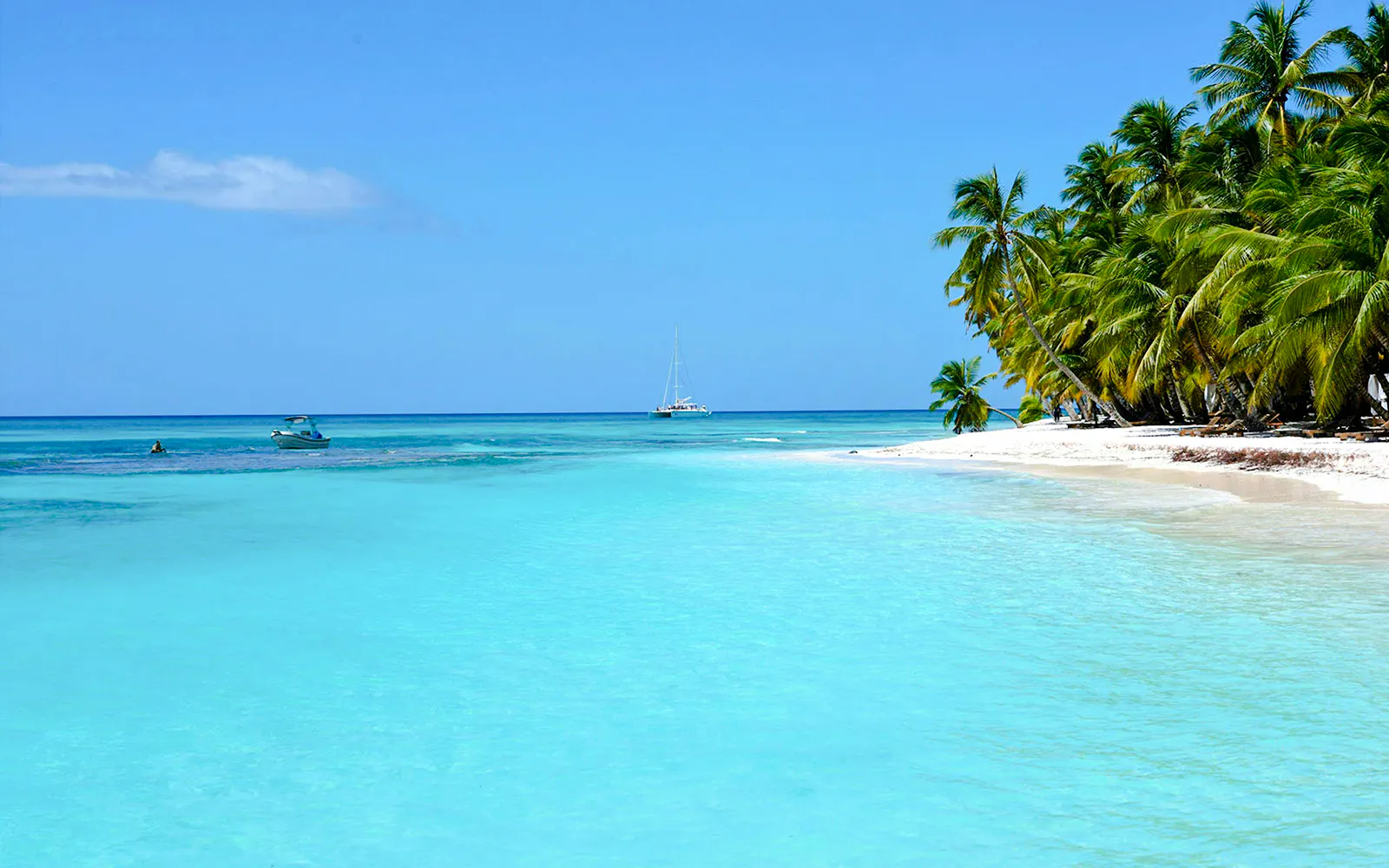 Tropical beach with palm trees and clear blue water on Saona Island.
