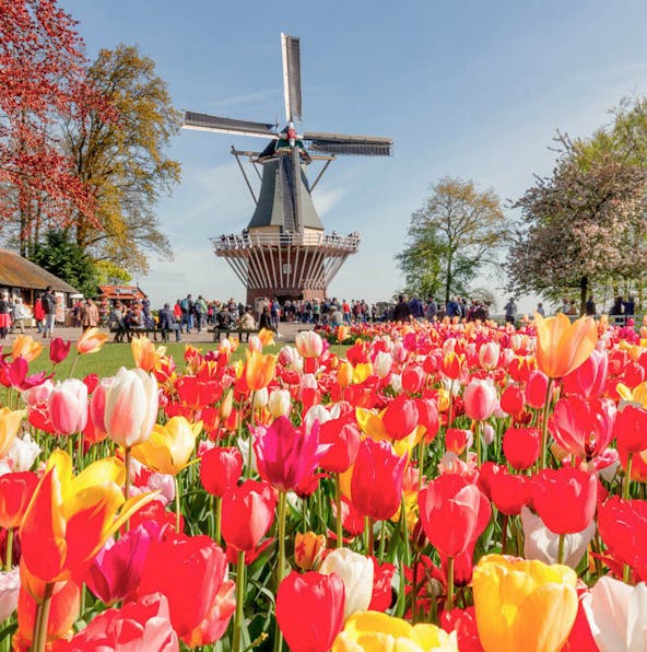 Amsterdam Holland Pass explained I Tips & hacks