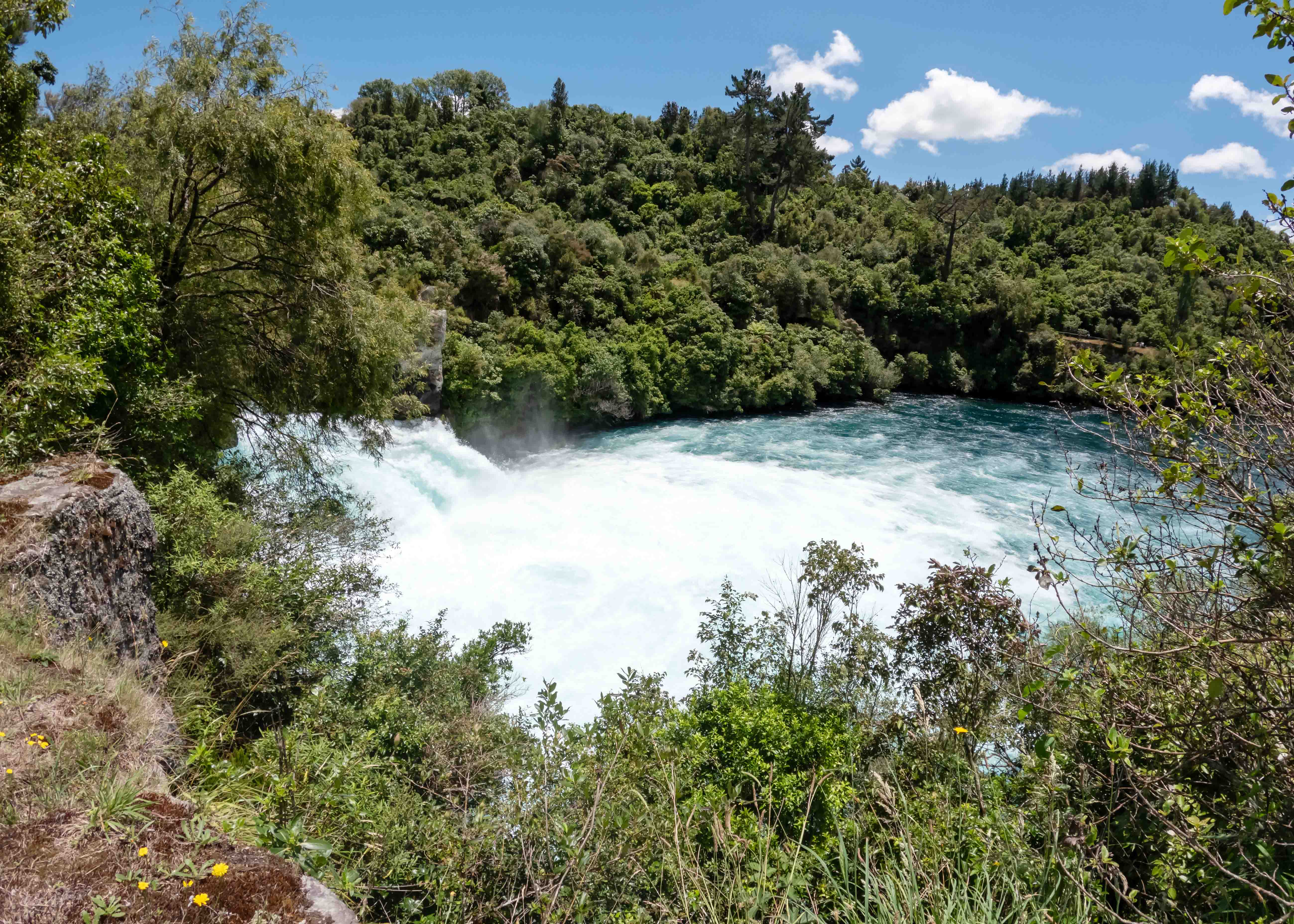 Day Trips from Auckland