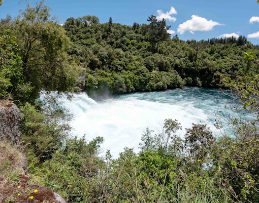 Day Trips from Auckland