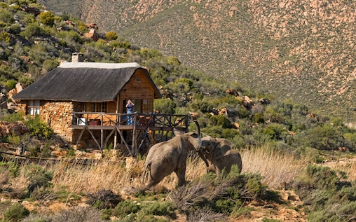 Aquila Private Game Reserve: Shared Transfers and Guided Safari Experience with Hotel Pickup and Drop-Off (Excludes Entrance Fees)