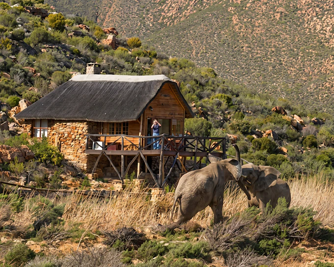 Aquila Private Game Reserve: Shared Transfers and Guided Safari Experience with Hotel Pickup and Drop-Off (Excludes Entrance Fees)