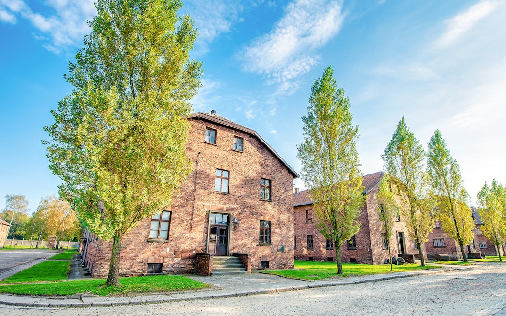 Auschwitz I barracks with trees lining the pathway under a clear sky.