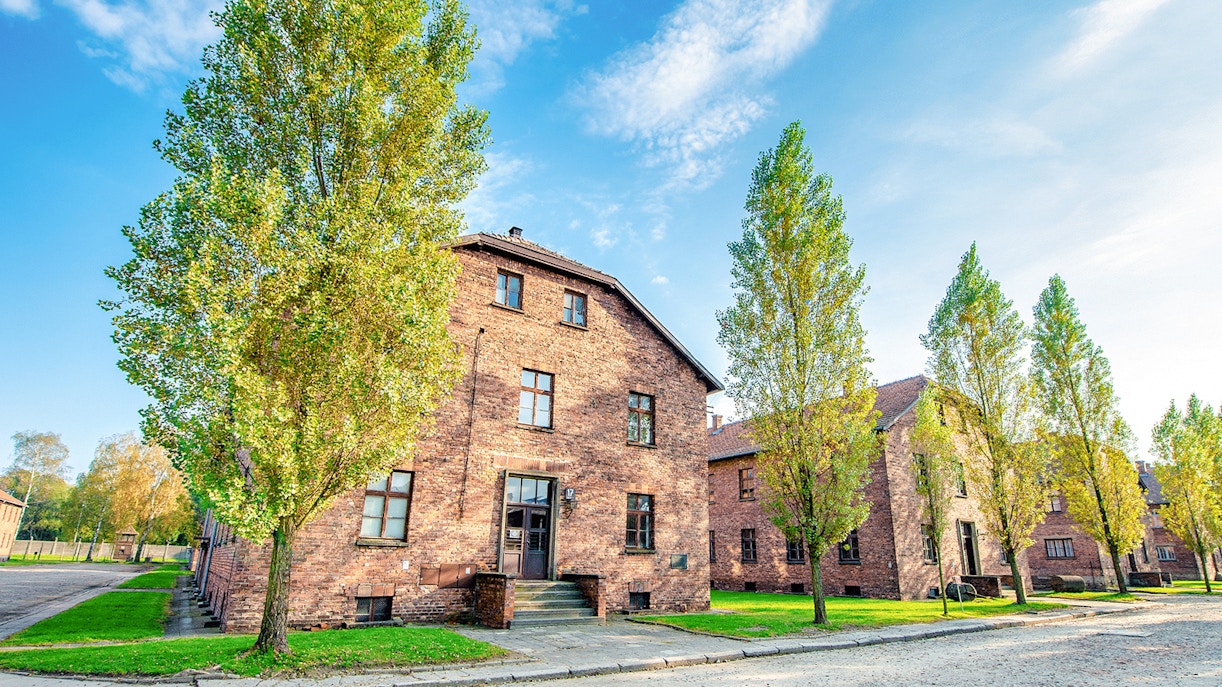 Auschwitz I barracks with trees lining the pathway under a clear sky.