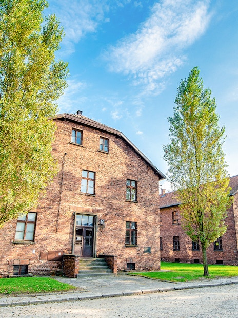 Auschwitz I barracks with trees lining the pathway under a clear sky.