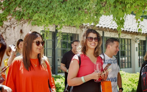 Tourist group enjoying wine tasting at Concha y Toro Winery, Chile.