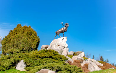 Bronze caribou statue at Beaumont-Hamel Memorial, Somme Battlefield.