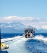 Motoscafo per il porto di Auke Bay