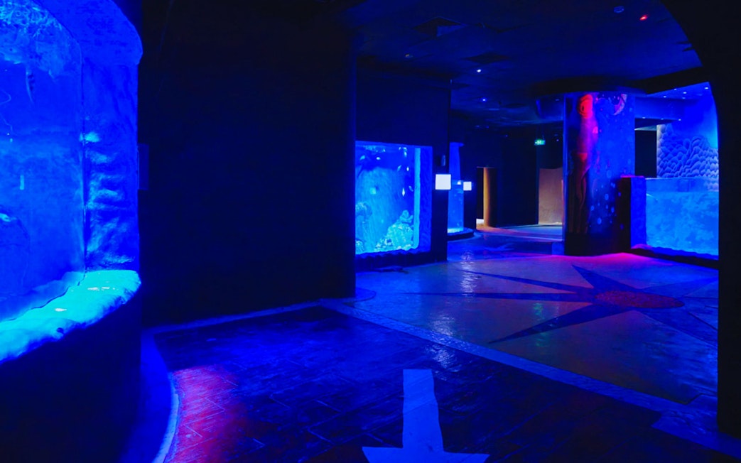 Hurghada Grand Aquarium interior with illuminated blue tanks.