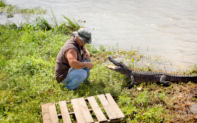 Man interacting with alligator by a swamp during a Swamp Tour & Oak Alley Plantation Tour.