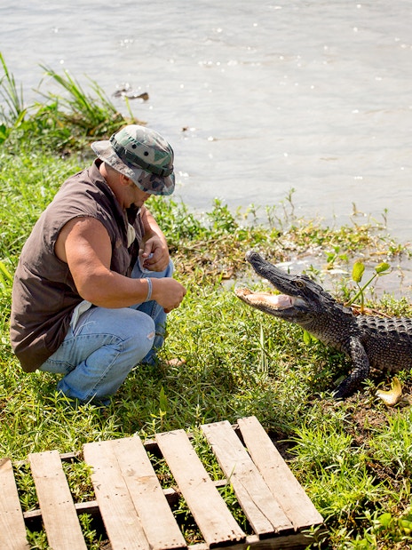 Man interacting with alligator by a swamp during a Swamp Tour & Oak Alley Plantation Tour.