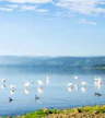 Lago Nakuru