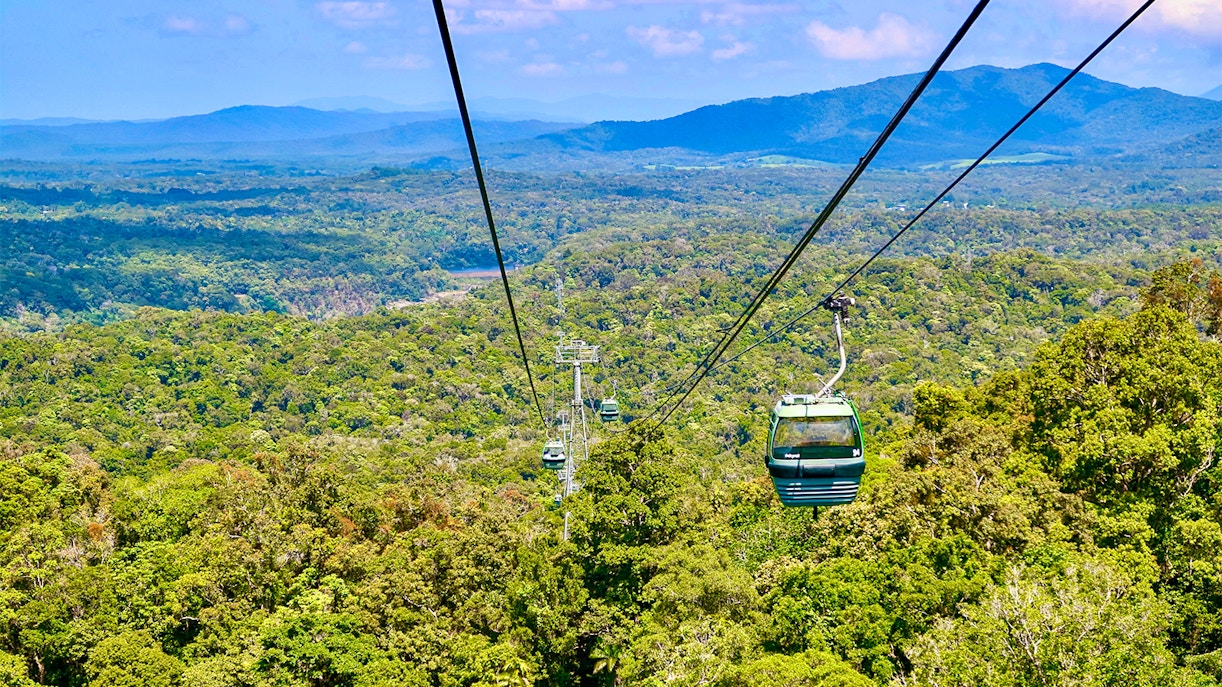 Kuranda Rainforest