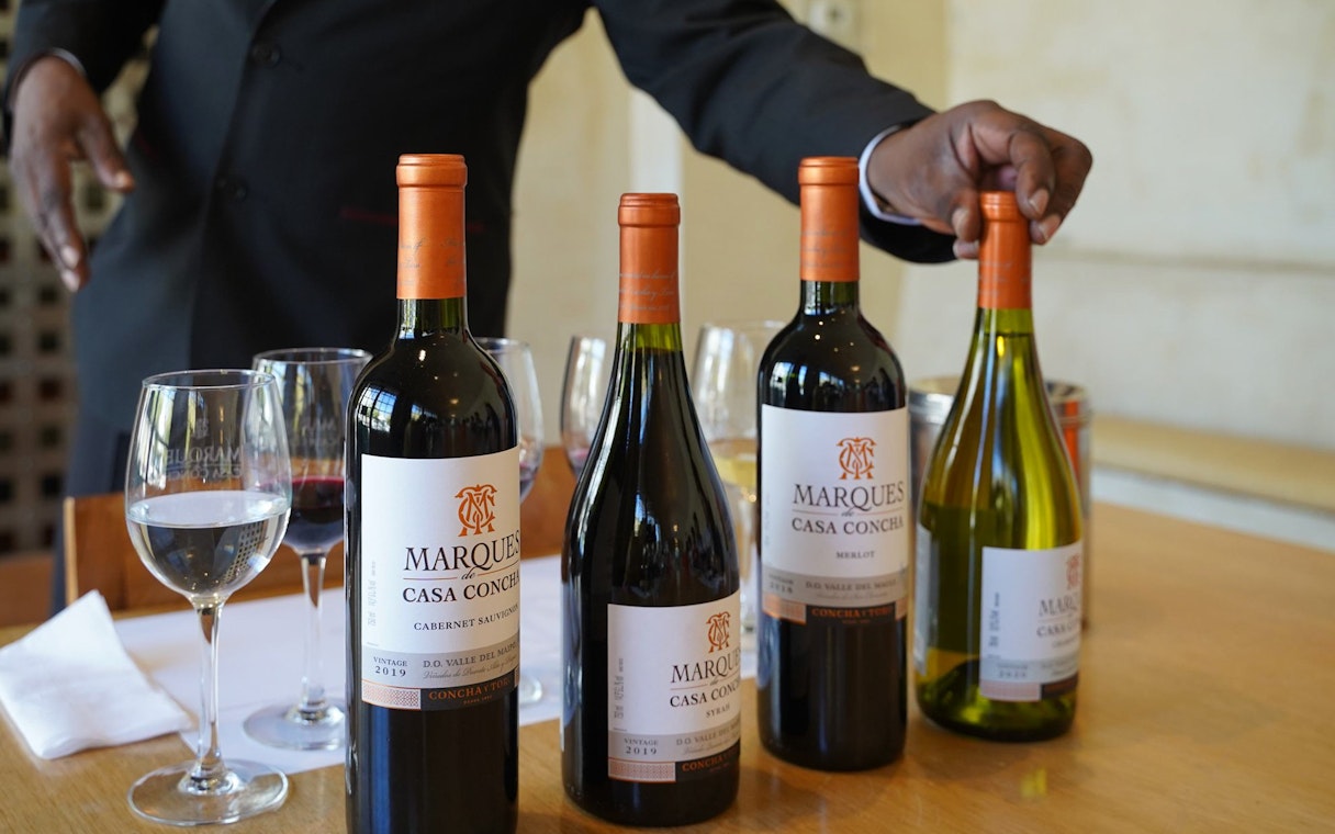 Wine bottles displayed during tasting at Concha y Toro winery.
