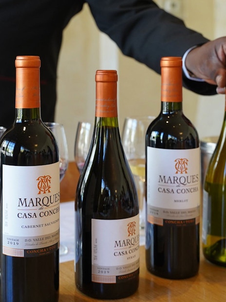Wine bottles displayed during tasting at Concha y Toro winery.
