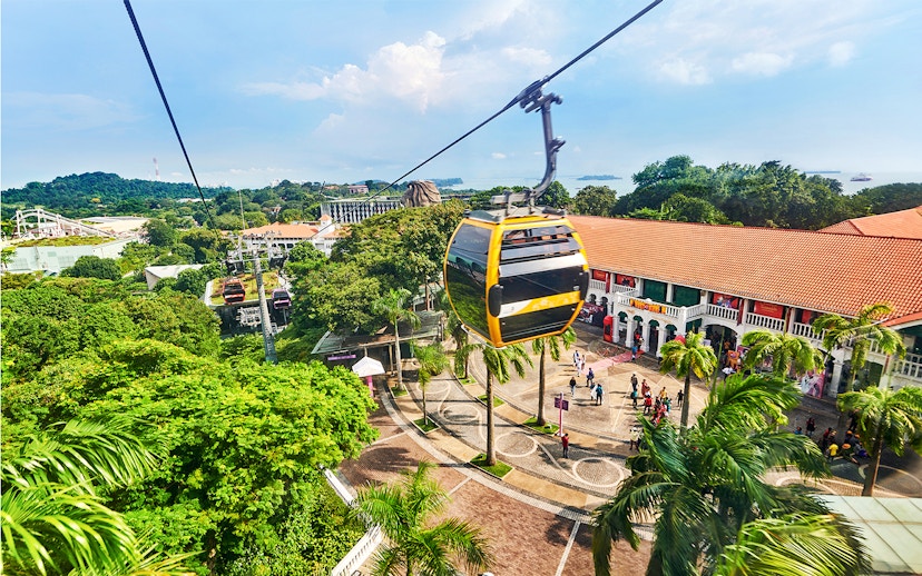 Aerial view of Singapore cityscape from a cable car, highlighting lush greenery and urban architecture.