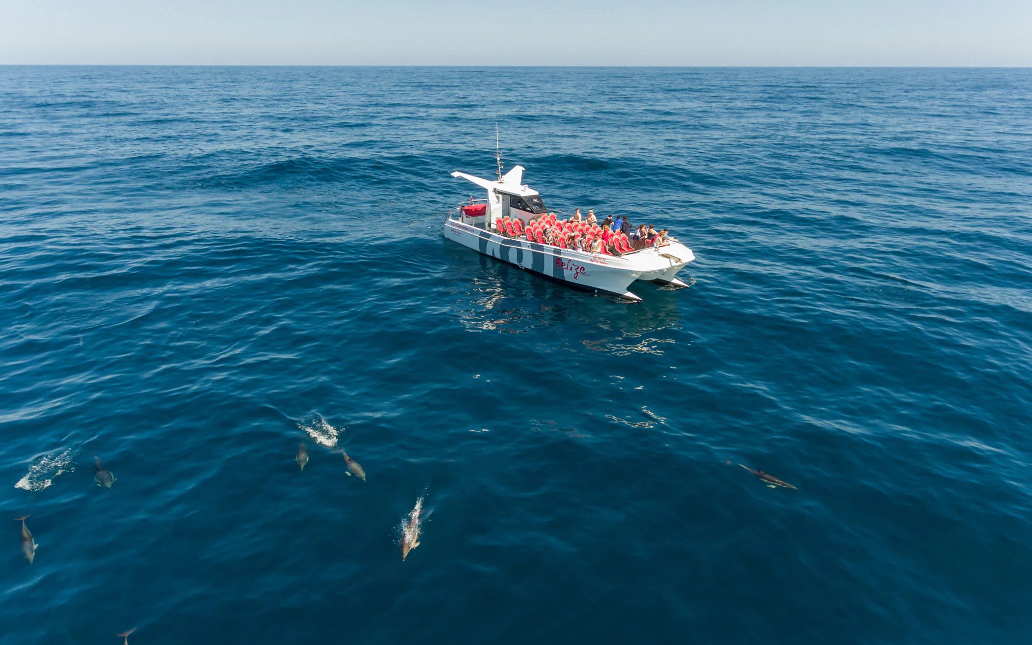 Tourists on catamaran watching dolphins near Benagil Caves, Algarve.