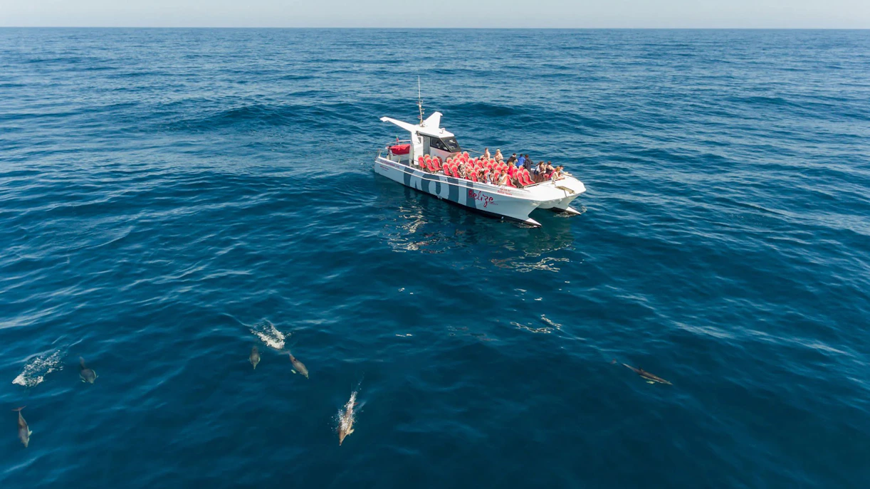 Tourists on catamaran watching dolphins near Benagil Caves, Algarve.