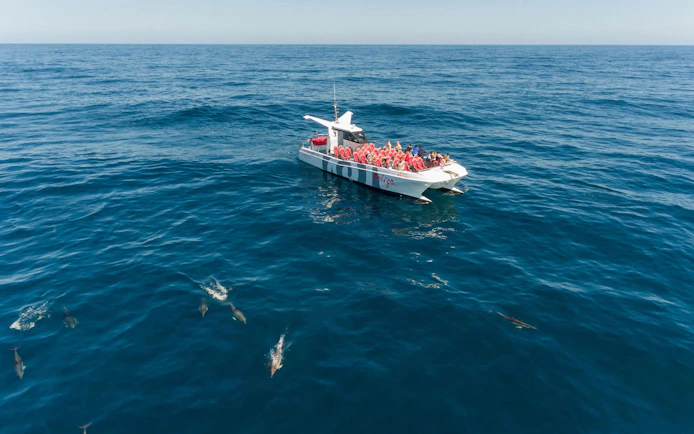 Tourists on catamaran watching dolphins near Benagil Caves, Algarve.