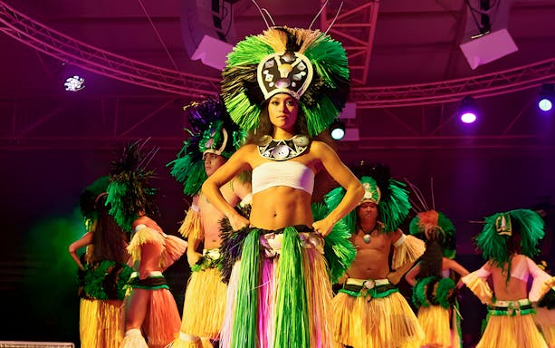 Graceful hula dancers performing at cultural show, Luau, Hawaii