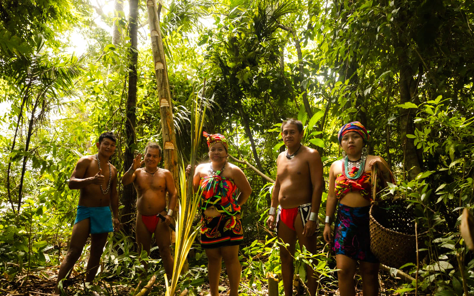 Emberá Purú Biakirú Village Guided Tour with Waterfall Visit