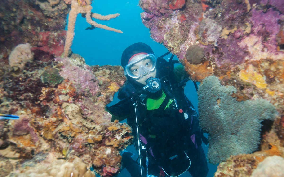 diving experience in the mediterranean sea with transfers-6 diving experience in the mediterranean sea with transfers-6