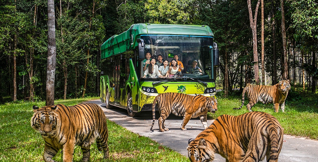 Book Phu Quoc Vinpearl Safari Tickets