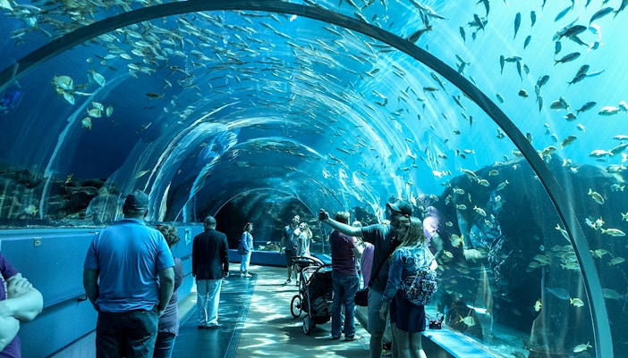 Aquarium tunnel.