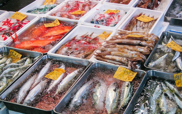 Fresh seafood display at Tsukiji Outer Market, Tokyo, featuring fish and squid on ice.
