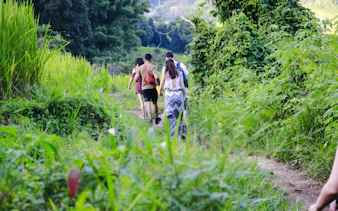 fra chiang mai: elefantreservat og fottur i doi inthanon nasjonalpark-7